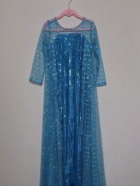 NEW NEVER WORN Luxury Princess Elsa Gown